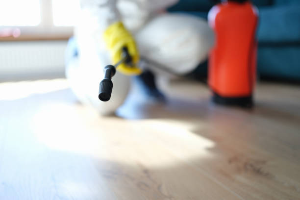 Best Biohazard Mold Removal  in Fairforest, SC