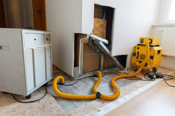 Best Forensic Mold Investigation  in Fairforest, SC