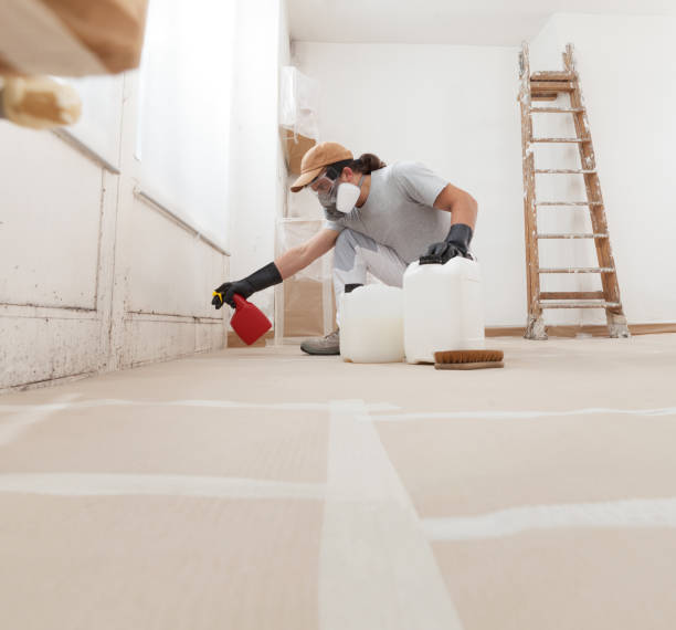 Best Mold Damage Restoration  in Fairforest, SC
