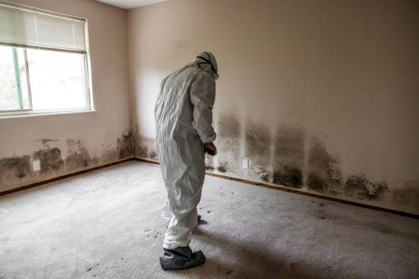 Best Industrial Mold Remediation  in Fairforest, SC